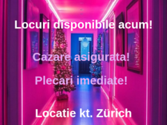 Casa privata Zurich, Elvetia